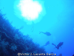 divers descending from the sun at two for you dive site i... by Victor J. Lasanta Garcia 